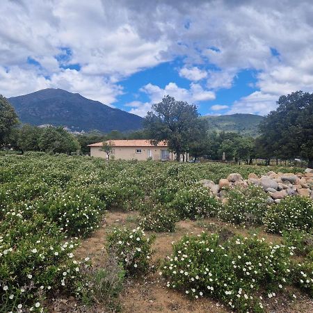 Domaine U Filanciu - Casa Chiara - Centru Di Corsica Villa Moltifao Exterior photo